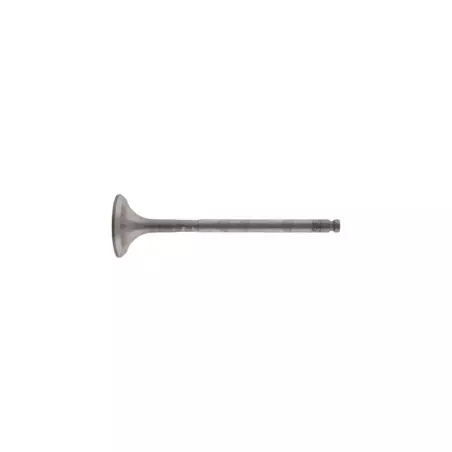 Exhaust valve for 306 S16