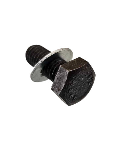 Crankshaft pulley screw 6923G6