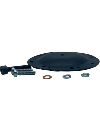 High Quality Citroën BX / Visa / AX Vacuum Pump Repair Kit