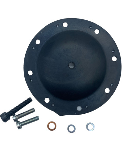 Kit de Reparo de Bomba de Vácuo para Peugeot 205 & 309