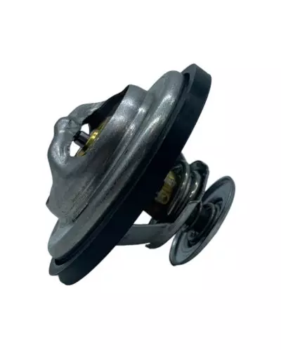 Waterthermostaat 80°C Renault 21 Diesel Renault 25 Diesel