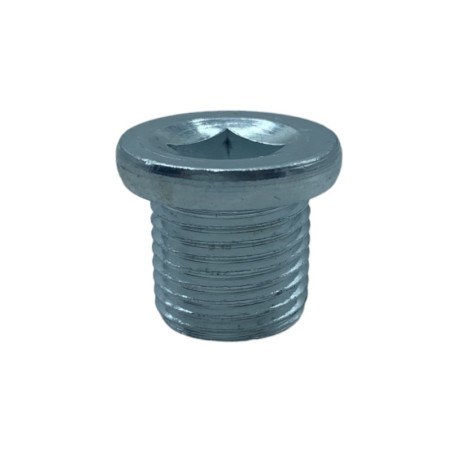 Oil Pan Drain Plug R9/R18/R11 TURBO/R5 Alpine/R5 Turbo