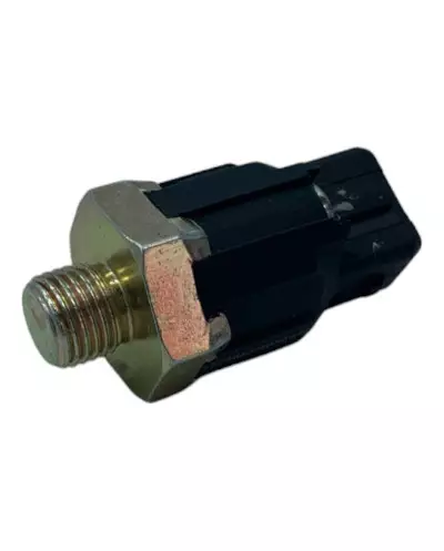 Klopsensor voor Renault 21 Turbo