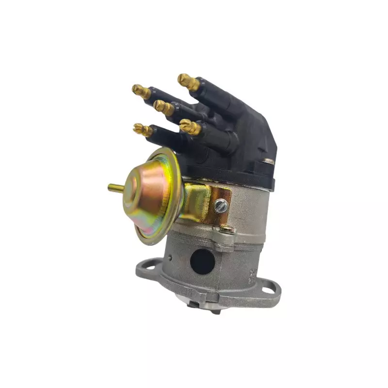 Accenditore Ducellier Peugeot 205 CT, GT, XS, XT del 1987