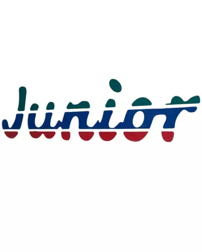Peugeot 205 Junior trunk stickers green blue red