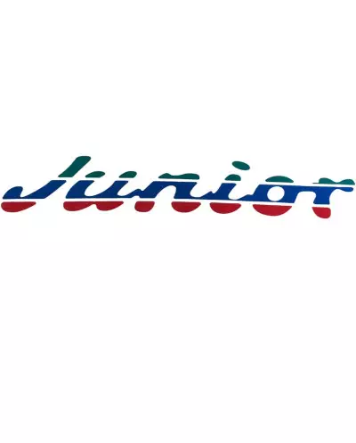 Peugeot 205 Junior trunk stickers green blue red