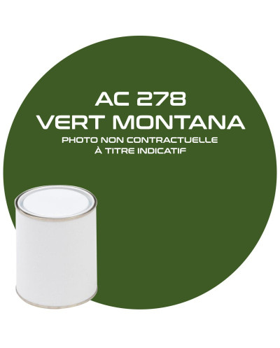 Pot De Peinture Vert Montana 1L AC 405 Ou 278 pour CITROEN MEHARI