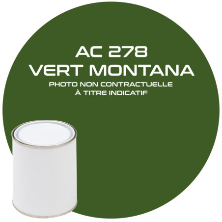 Bote de pintura verde Montana 1L AC 405 o 278 para Citroen MEHARI