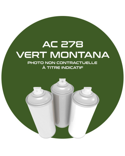 Aérosol Vert Montana AC 278 de 400 ML pour Citroën MEHARI