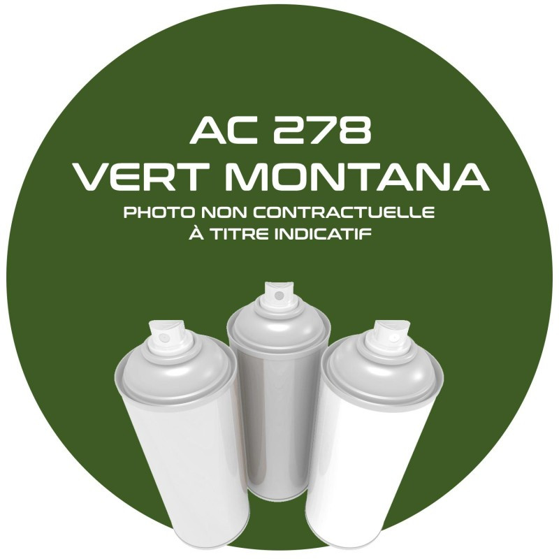 Aérosol Vert Montana AC 278 de 400 ML pour Citroën MEHARI