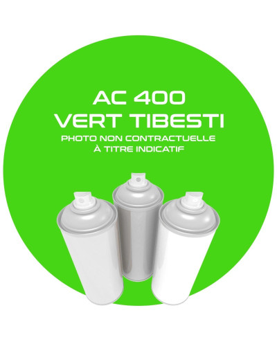 Aérosol 400 ML vert Tibesty AC 400 pour Citroën MEHARI