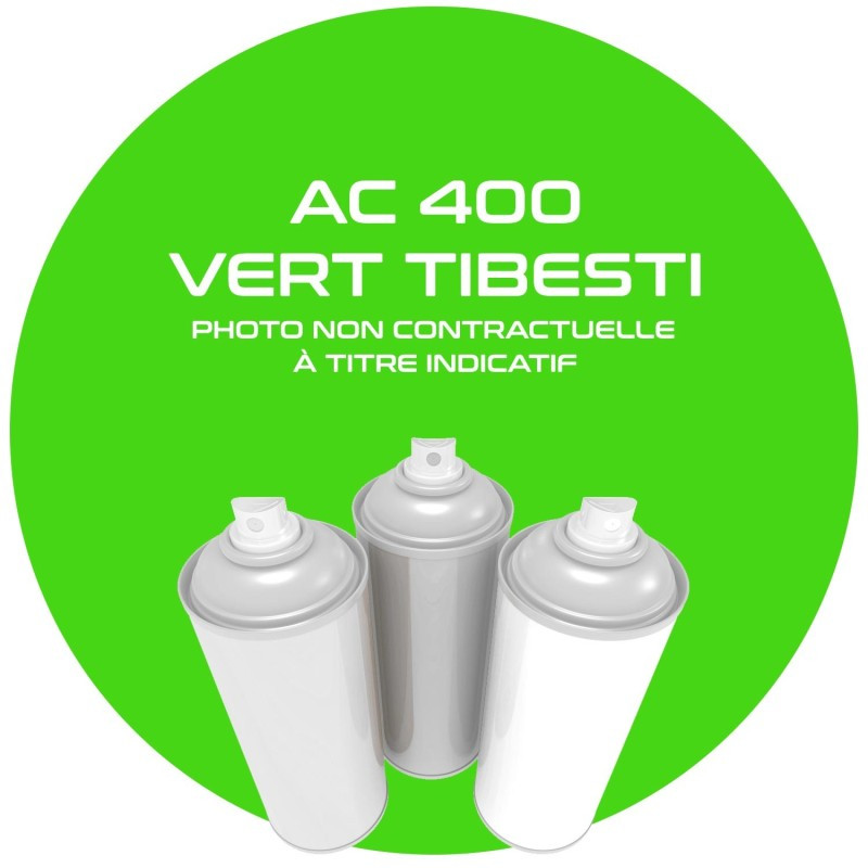 Aérosol 400 ML vert Tibesty AC 400 pour Citroën MEHARI