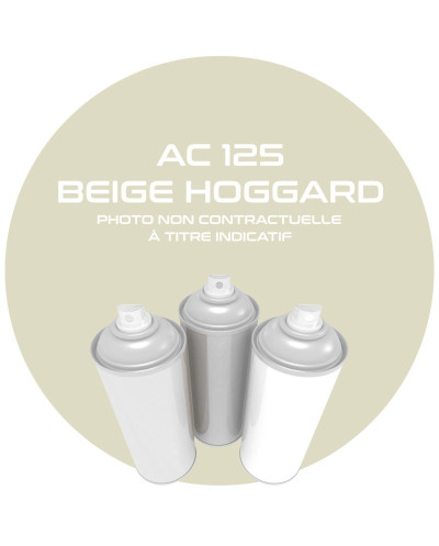 Aérosol 400 ML Beige Hoggard AC 125 pour Citroën MEHARI