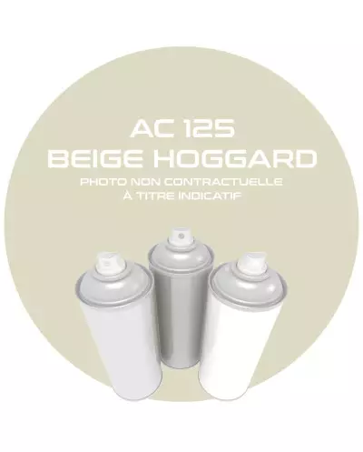 Spuitbus 400 ML Beige Hoggard AC 125 voor Citroën MEHARI