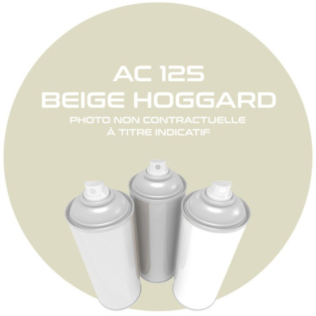 Aerosol 400 ML Beige Hoggard AC 125 for Citroën MEHARI