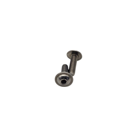 Set of 2 Sunroof Handle Bracket Screws for Peugeot 205