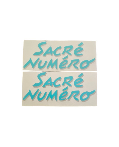 Set van 2 spatbordstickers voor Peugeot 205 Sacré Numéro Turquoise Blauw