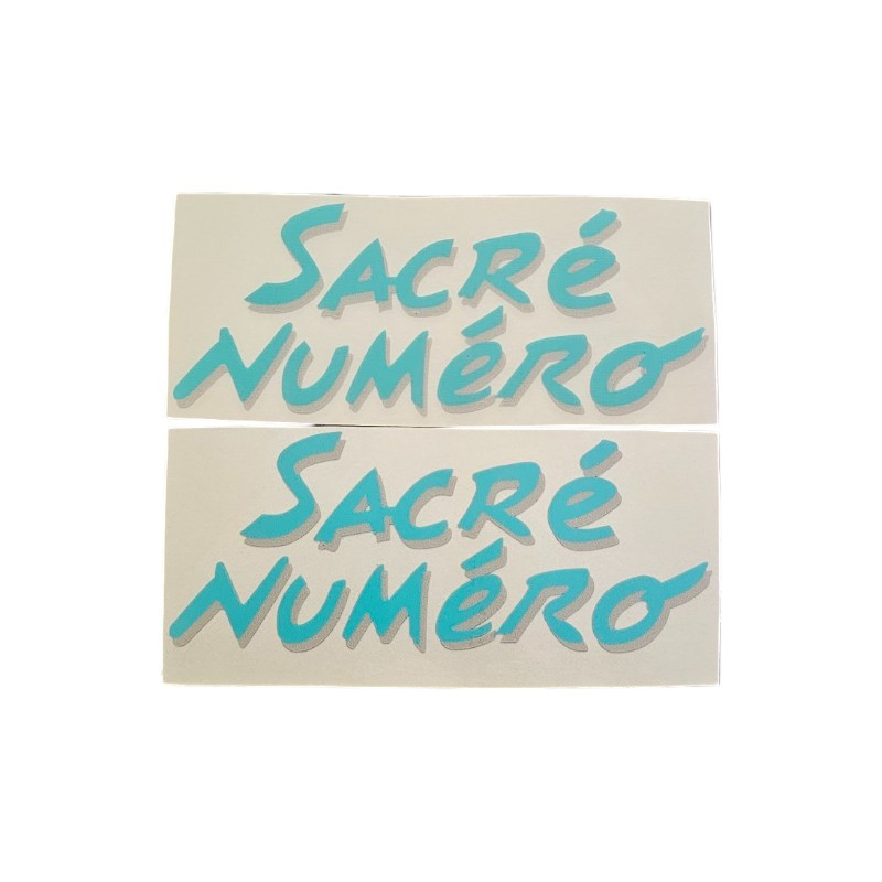 Lot de 2 stickers d'ailes pour Peugeot 205 Sacré Numéro, sur fond blanc Bleu turquoise et gris.