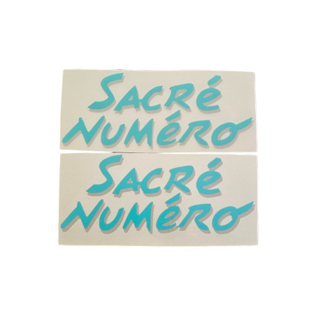 Set van 2 spatbordstickers voor Peugeot 205 Sacré Numéro Turquoise Blauw