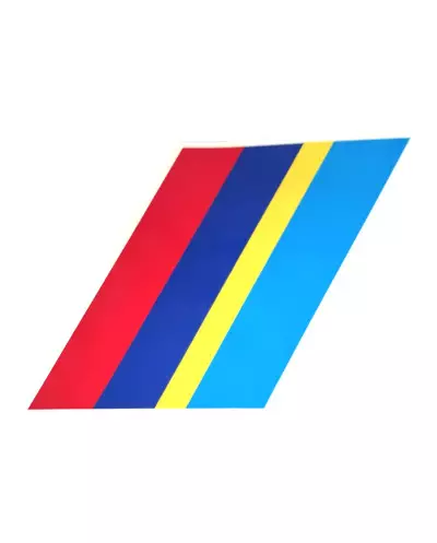 Peugeot 309 PTS trunk sticker.