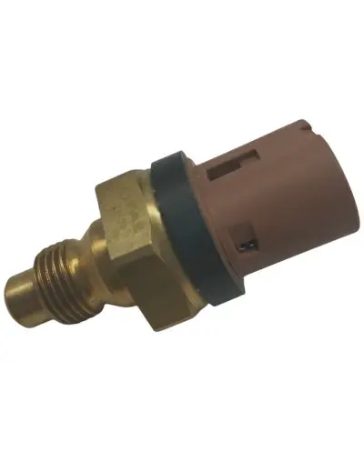 Clio Williams temperature sensor according to original standards