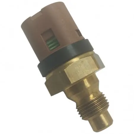 Clio Williams Temperatursensor