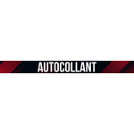 Autocolantes Citroën AX